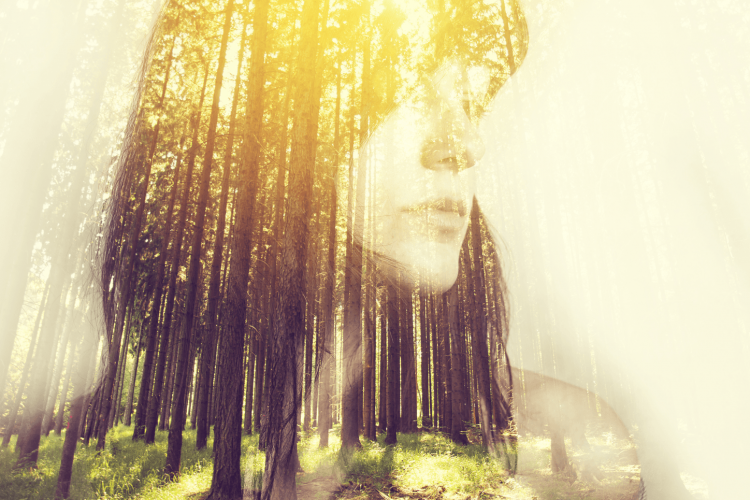 The Difference between a Past Life Session and a Psychic Reading