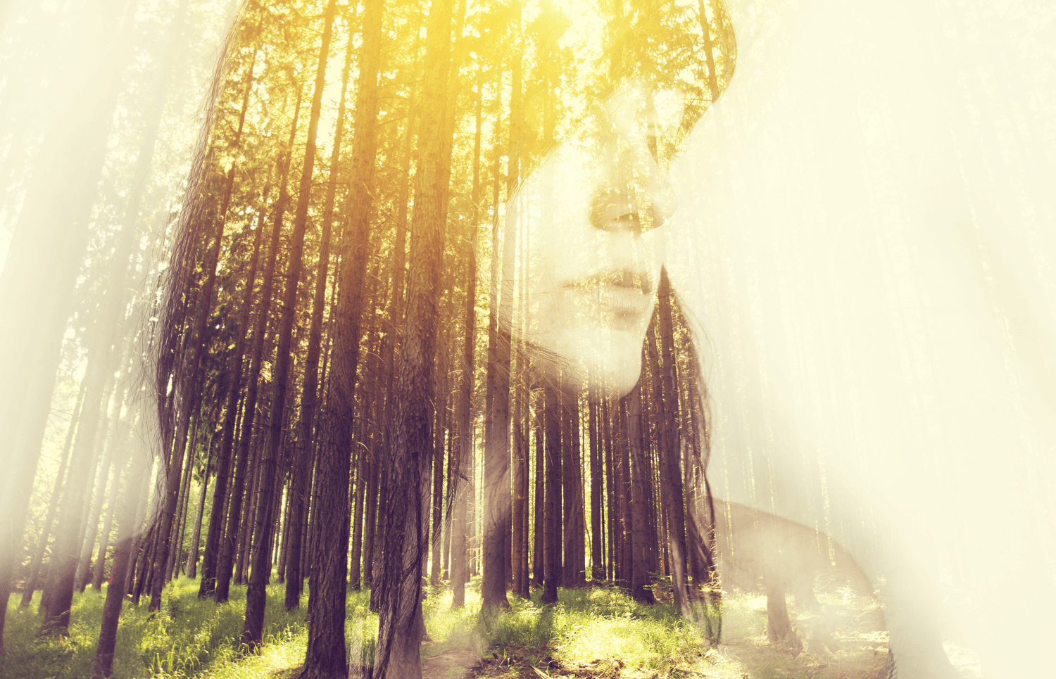 The Difference between a Past Life Session and a Psychic Reading