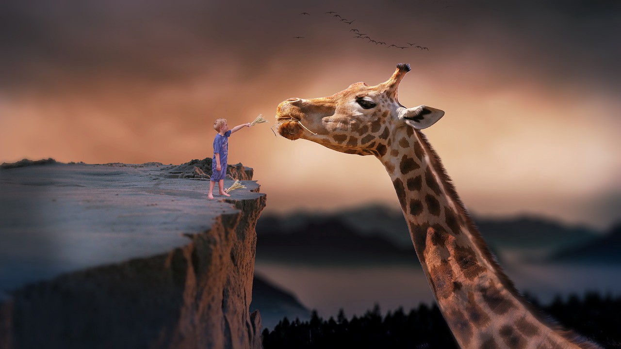 Ways of manifesting your dream reality